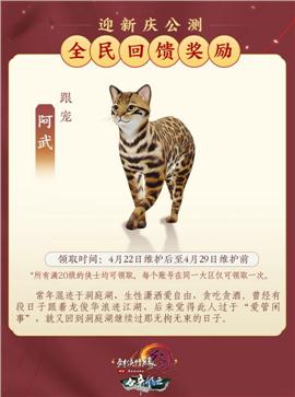 天龙八部私服爆实物